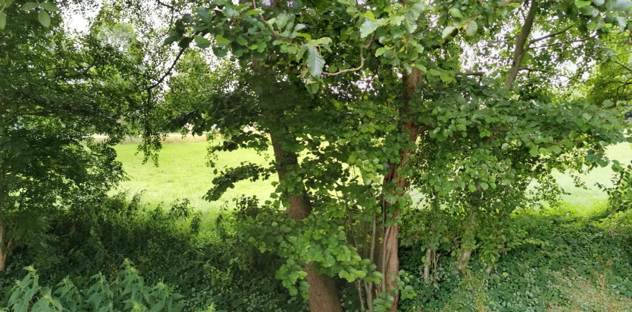 Gemuetliches Ferienhaus "An Der Schilde" In Renzow Εξωτερικό φωτογραφία