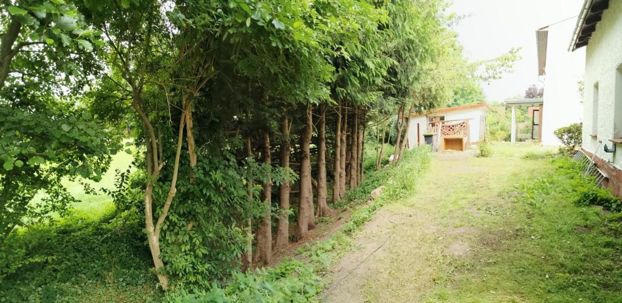 Gemuetliches Ferienhaus "An Der Schilde" In Renzow Εξωτερικό φωτογραφία